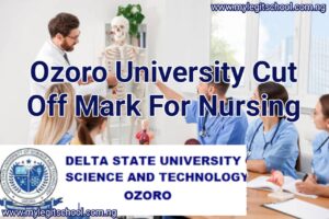 Ozoro University Cut Off Mark for Nursing | Delta State University Of Science and Technology Cut off mark for Nursing