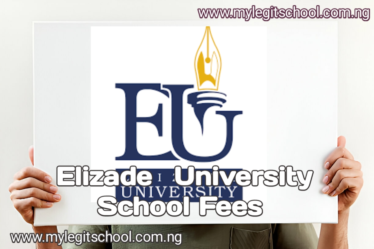 Elizade University School Fees