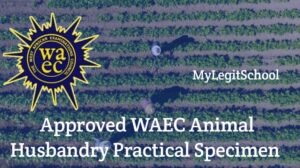 Approved WAEC Animal Husbandry Practical Specimen