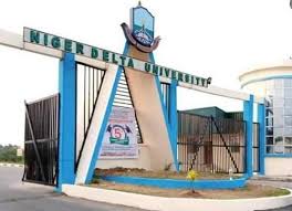 NDU Post UTME Form