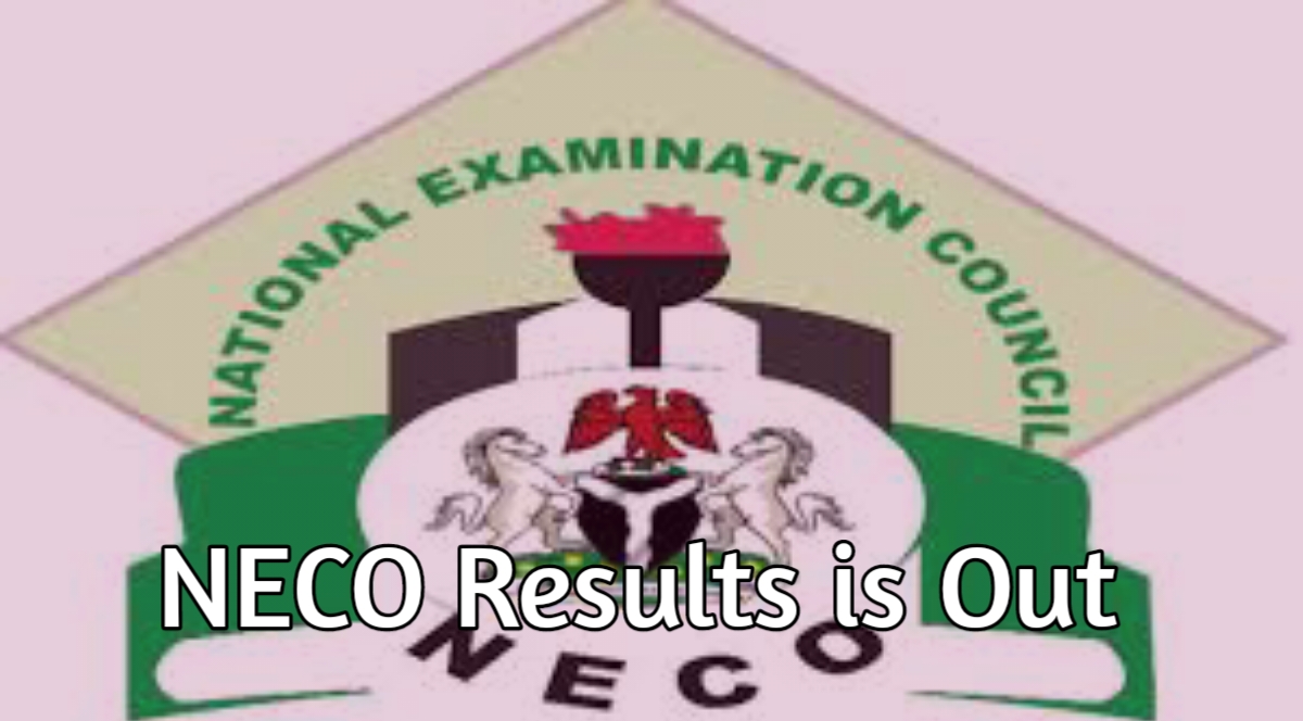 How to Check NECO Results 2025/2026